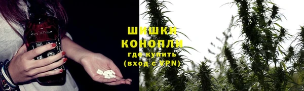 эйфоретик Осинники